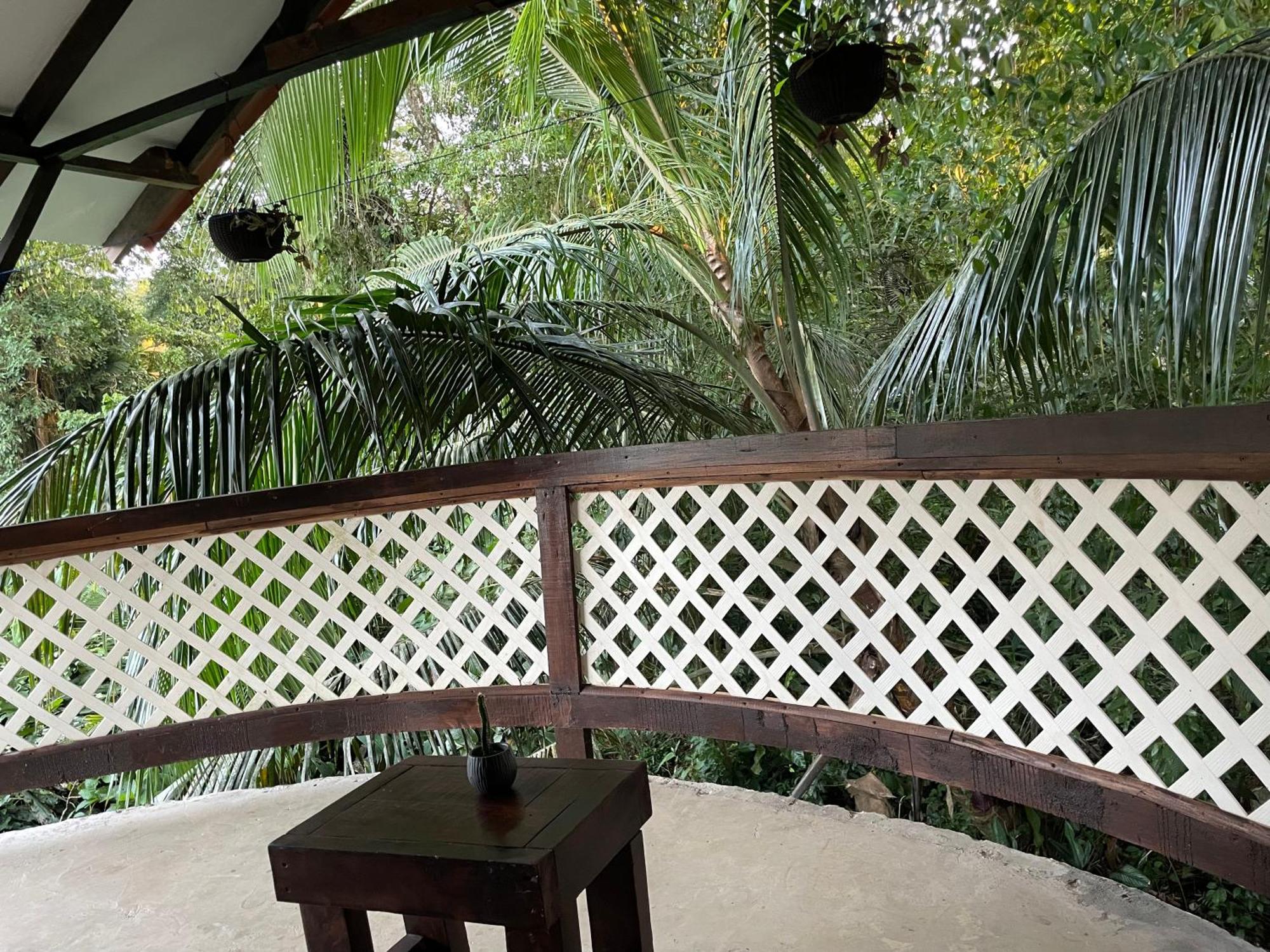 Casa Jaguar Tortuguero Villa Exterior photo